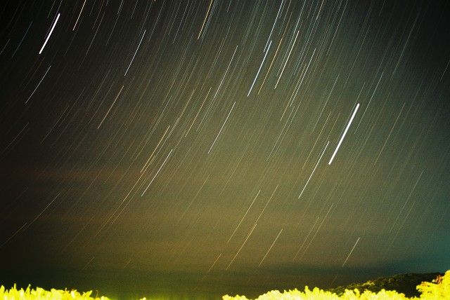 Roll-2--shot-13 48450817936 O