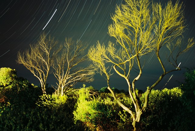 Roll-2--shot-15 48450815151 O