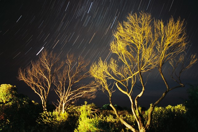 Roll-2--shot-16 48450970802 O