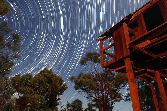 Trailblazing 48276768602 O