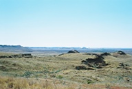 Millstream-Chichester