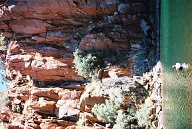 Millstream-Chichester